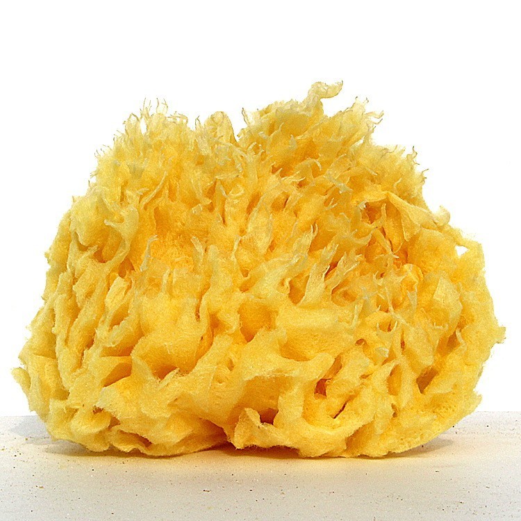 ギリシャの天然スポンジはどのように入浴体験を改善できるのでしょうか?